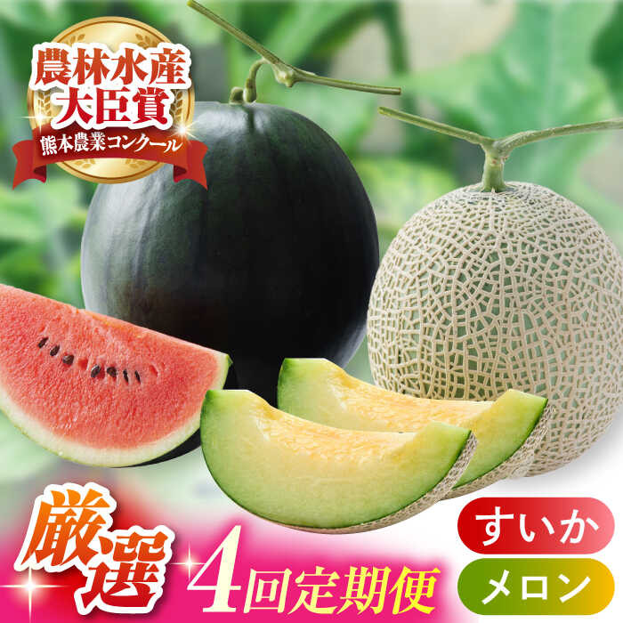 【先行予約】【4回定期便】スイカ・メロン 厳選定期便  化粧箱入り 旬 果物 贈答用 くだもの フルーツ すいか 西瓜 小玉 大玉 黒小玉 アールスメロン セット ブランド 人気 産地直送 甘い 糖度 おすすめ 熊本県 山鹿市 定期 4ヶ月【株式会社前田ファーム】[ZCM013]
