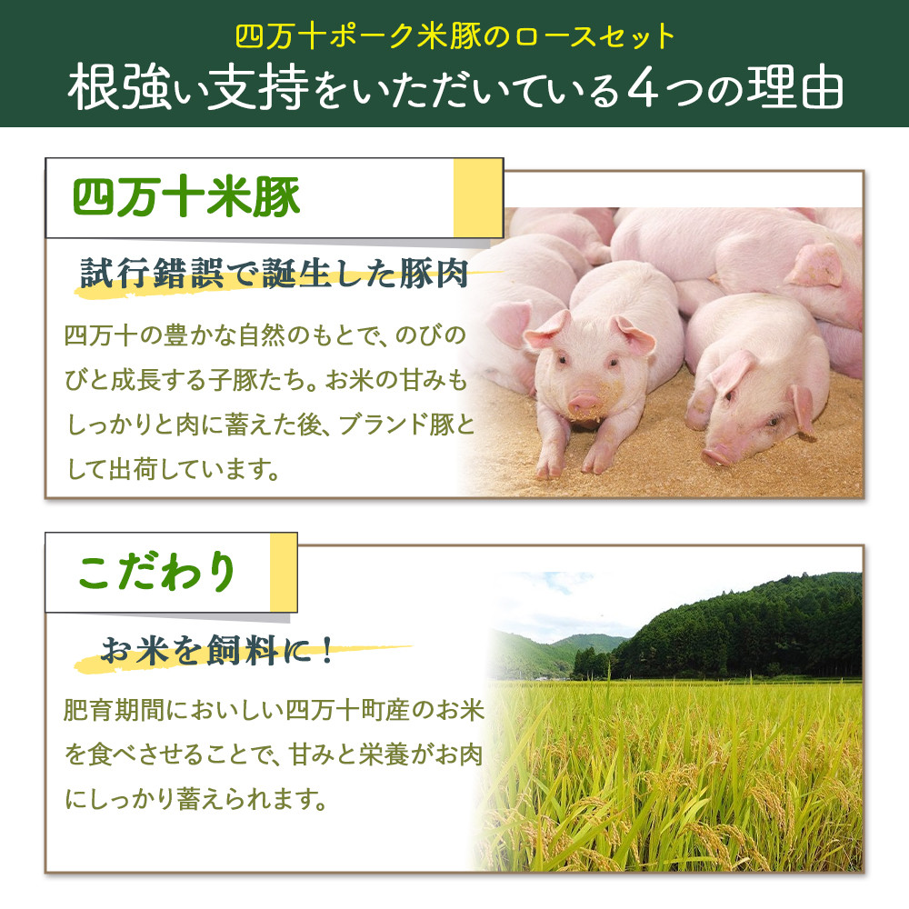 【大人気返礼品】しまんと米豚の厚切りロースセット （150g×6枚）Qjs-04 米豚 ぶた肉 豚肉 国産豚肉 国産ぶた肉 豚ロース 冷凍豚