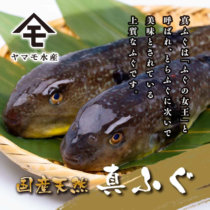 【2025年11月発送】 ふぐ 料理 満喫 セット 4~5人前 冷凍 ( 鮮魚 魚介 フグ刺し マフグ 国産真ふぐ 本場 下関 ふぐ刺し 河豚 てっさ ちり 切身 あら 鍋 海鮮鍋 低カロリー 高タンパク 低脂肪 コラーゲン ポン酢 もみじおろし 昆布 付き プレゼント ギフト お中元 お歳暮 記念日 ) 下関 山口 指定日可 ヤマモ水産