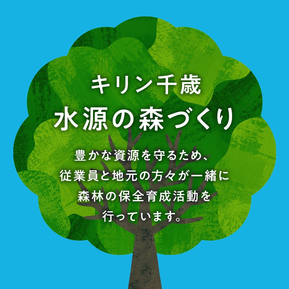 【定期便5ヶ月】キリンラガービール 500ml(24本)<北海道千歳工場産>