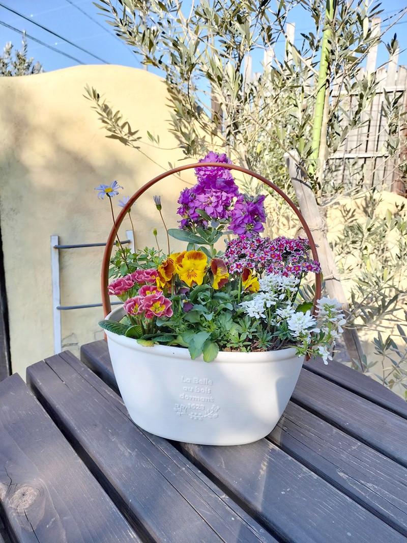 a10-1174　季節のおまかせ寄せ植えバスケット