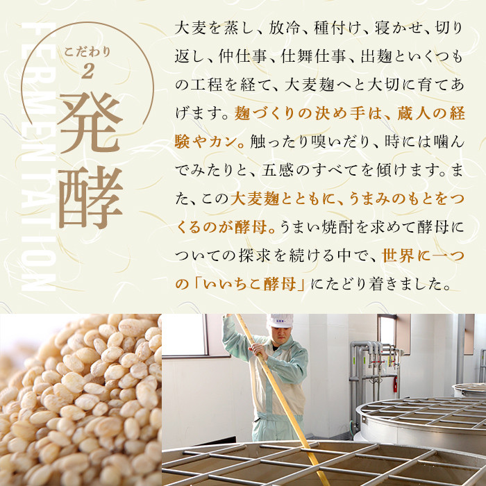 いいちこシルエット 25度(計1.44L・720ml×2本)酒 お酒 むぎ焼酎 720ml 麦焼酎 いいちこ アルコール 飲料 常温【106101301】【酒のひろた】