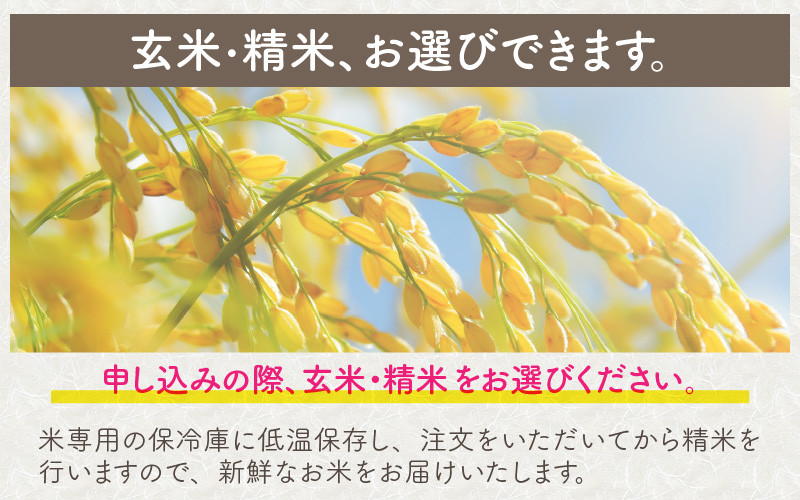 【先行予約】【令和8年産・新米】【6ヶ月連続お届け】福井県坂井市丸岡町産 コシヒカリ10kg×6回　計60kg（精米）【2026年10月より順次発送予定】 [L-11304_03]