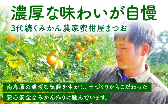 みかん「2026年10月下旬〜発送」★ 温州みかん 5kg ★ / みかん ミカン 蜜柑 フルーツ 果物 みかん くだもの 柑橘 旬 果実 甘味 酸味 甘い mikan 産地直送 農家直送 数量限定 国産 先行予約 ご家庭用 ミカン ご当地 お返し ミカン 贈り物 人気 贈答用 家庭用 土産 手土産 みかん / 南島原市 / 蜜柑屋まつお [SCQ001]