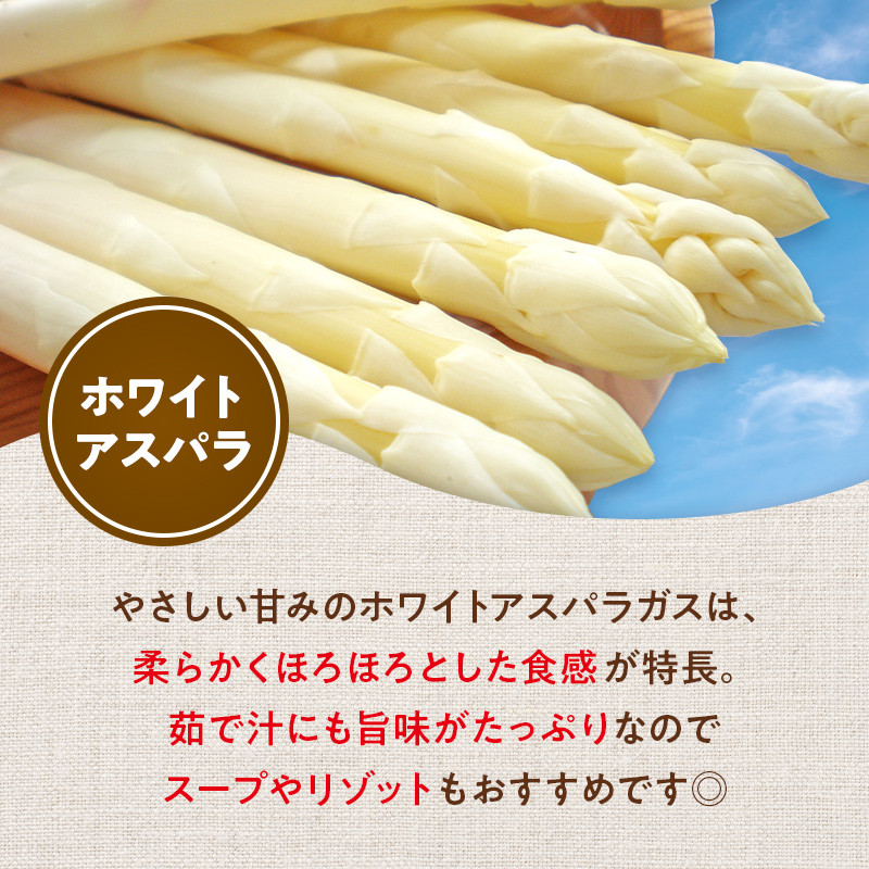 【先行予約】令和8年産 ホワイトアスパラガス(2Lサイズ) 1kg アスパラ 野菜 やさい ふるさと 納税 国産 北海道産 北海道 下川町 F4G-0285