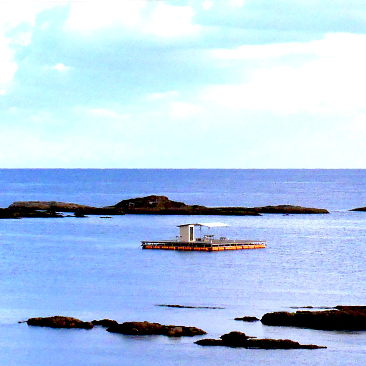 海陽町浅川釣りいかだ1日ご利用券(大人1名様) 釣り 釣りいかだ1日ご利用券 徳島 海陽町 浅川 魚釣り 体験