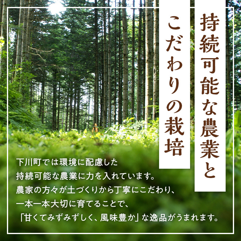 【先行予約】令和8年産 ホワイトアスパラガス(2Lサイズ) 1kg アスパラ 野菜 やさい ふるさと 納税 国産 北海道産 北海道 下川町 F4G-0285