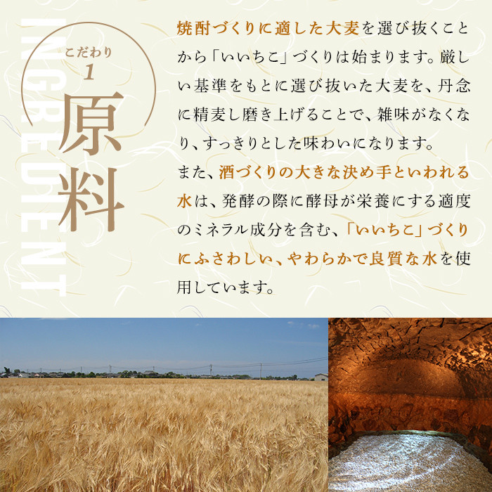 いいちこスーパー 25度(計1.44L・720ml×2本)酒 お酒 むぎ焼酎 麦焼酎 いいちこ アルコール 飲料 常温【106102500】【酒のひろた】