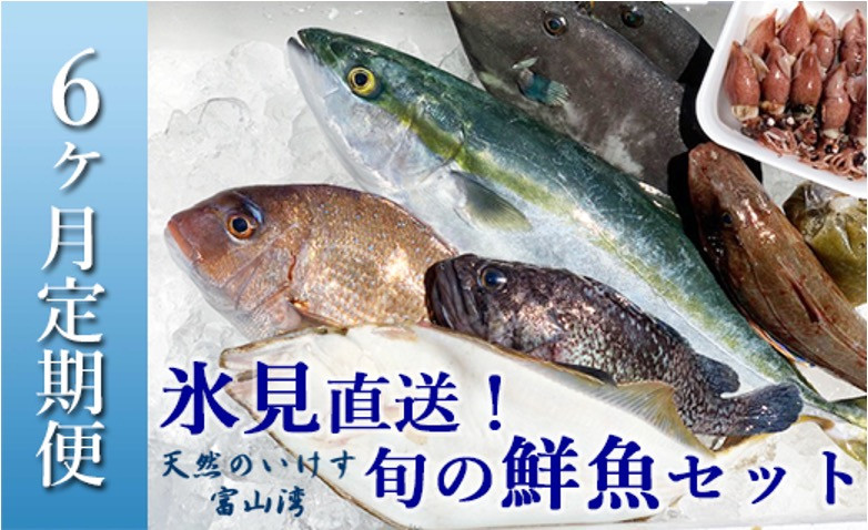 【定期便（６ヶ月）】 天然のいけす 富山湾 氷見漁港 旬の鮮魚セット 〈配送地域限定〉