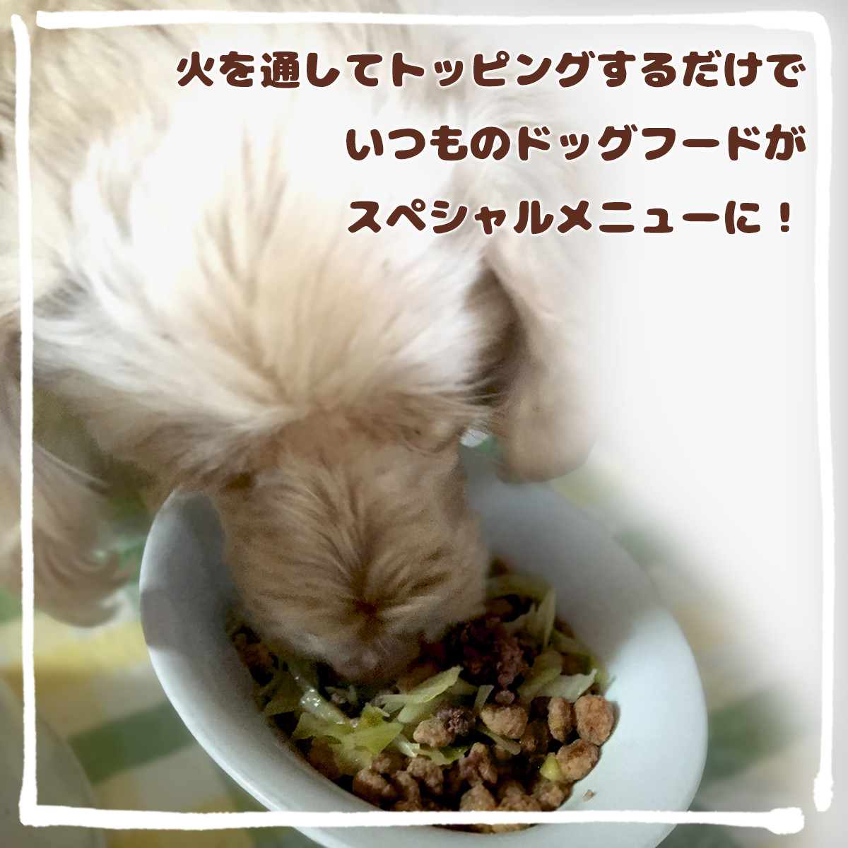 ペット用鹿骨セット 胸骨・ヒザ 1kg 冷凍 お肉付き 加熱用 ペットフード