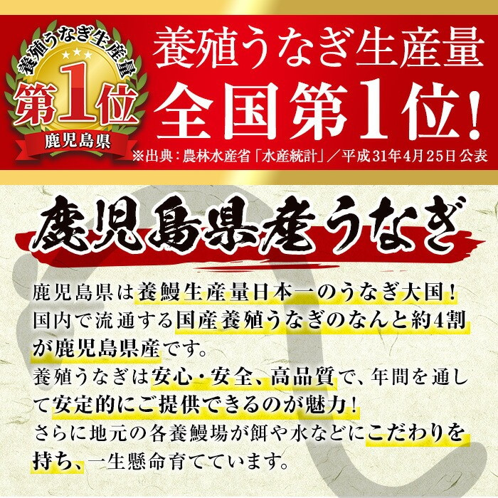 【定期便全3回】無投薬！鹿児島県産うなぎ蒲焼セット＜上＞(計840g以上・140g以上×2尾×3回) タレ・山椒付き 鰻 ウナギ 国産【西日本養鰻】T26