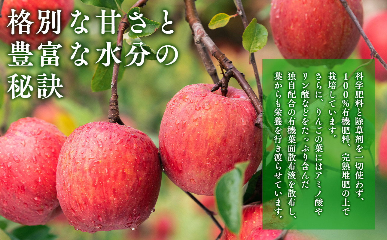 親子三代最高位の「干しりんごスライスタイプ」25g×8パック ドライ リンゴ 完熟 果物 林檎 リンゴ ドライフルーツ 加工食品 林檎チップス チップス 平川市 青森県