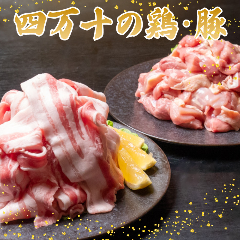 【6ヶ月連続】四万十ブランド 鶏肉1kg 豚肉600g(計1.6kg×6回) 9.6kg 6回定期便 6Cコース| 四万十ポークスライス 四万十ポーク 豚バラ肉 小分け 小間切れ スライス 切り落とし 冷凍 真空パック 細切れ 切身 カット 一口大 カット済み 四万十鶏 鳥肉 とりにく 鶏もも 国産 ブランド 唐揚げ 煮物 鍋 チキン 高知県 須崎市 TM135000