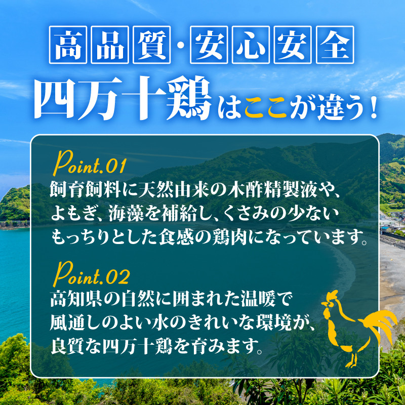 【12ヶ月連続】四万十ブランド 鶏肉500g 豚肉600g(計1.1kg×12回)13.2kg 12回定期便 5Rコース| 四万十ポークスライス 四万十ポーク 豚バラ肉 小分け 小間切れ スライス 切り落とし 冷凍 真空パック 細切れ 切身 カット 一口大 カット済み 四万十鶏 鳥肉 とりにく 鶏もも 国産 ブランド 唐揚げ 煮物 鍋 チキン 高知県 須崎市 TM124000