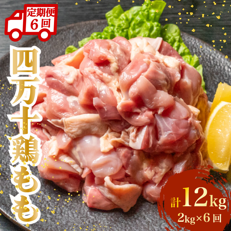 【定期便6回】銘柄鶏 四万十鶏 もも肉 計12kg（2kg×6ヶ月連続お届け) 5Eコース | 切身 カット 時短 小分け カット済み 鳥肉 とりにく 鶏もも 冷凍 国産 ブランド 唐揚げ 煮物 鍋 チキン 南蛮 高知県 須崎市 TM111000