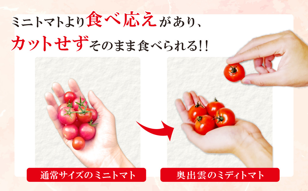 世界基準の奥出雲高原ミディトマト1.3kg(中玉サイズ)【トマト とまと 野菜 ミディトマト 1.3kg 中玉 厳選 新鮮 健康 美容 安心 安全 美味しい サラダ シンディースィート リコピン やさい】
