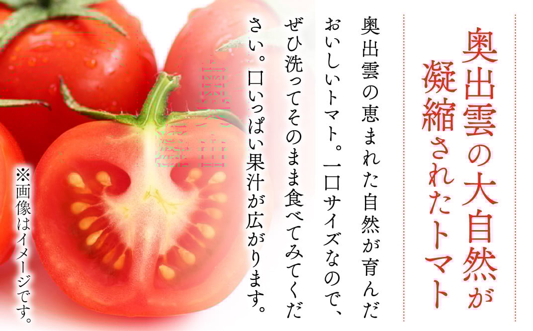 世界基準の奥出雲高原ミディトマト1.3kg(中玉サイズ)【トマト とまと 野菜 ミディトマト 1.3kg 中玉 厳選 新鮮 健康 美容 安心 安全 美味しい サラダ シンディースィート リコピン やさい】
