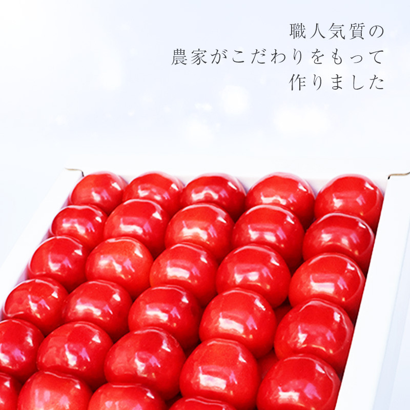《先行予約》令和8年産 温室育ち さくらんぼ 佐藤錦 2L 特秀品 300g 化粧詰(発泡スチロール梱包)山形県産 【2026年4月下旬頃~5月中旬頃発送予定】 ※配送不可 沖縄・離島 038-A-MZ005