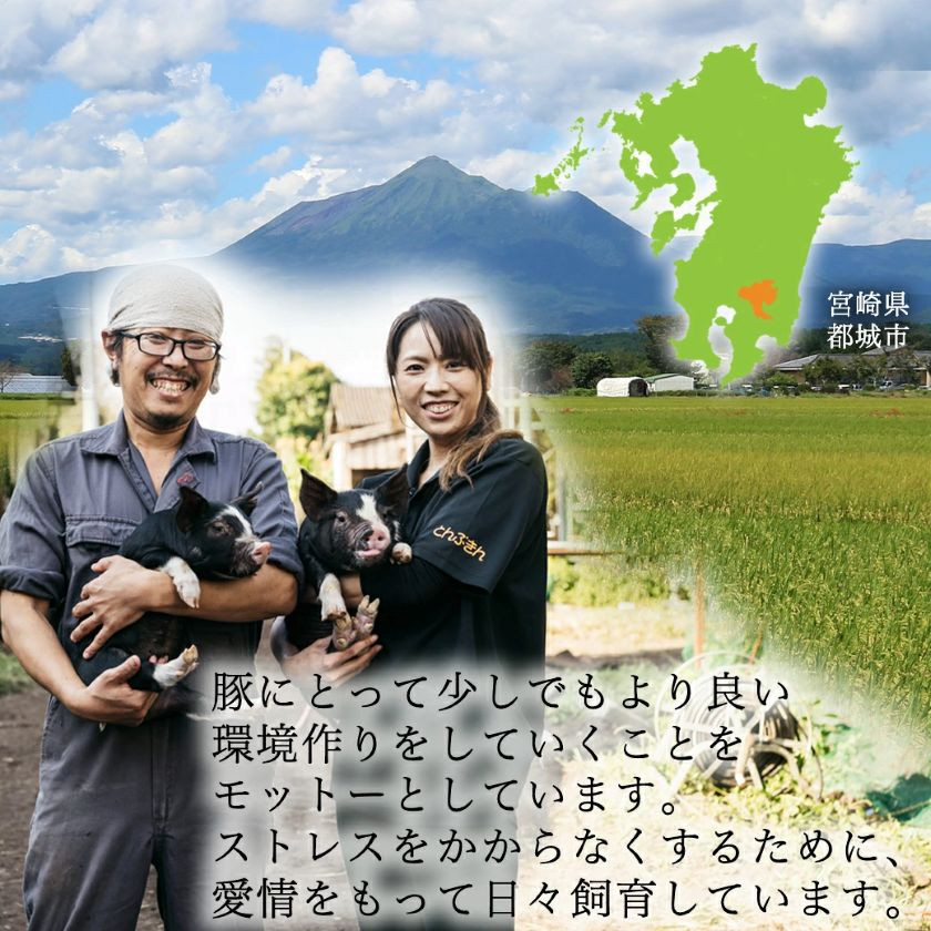 【6回お届け!】「黒豚とんぷきん」定期便≪総重量16kg≫_T90-6-5901_(都城市) 都城産 黒豚とんぷきん しゃぶしゃぶ2kgセット/小間切れ3kg/大盛3kgセット 6ヵ月定期便