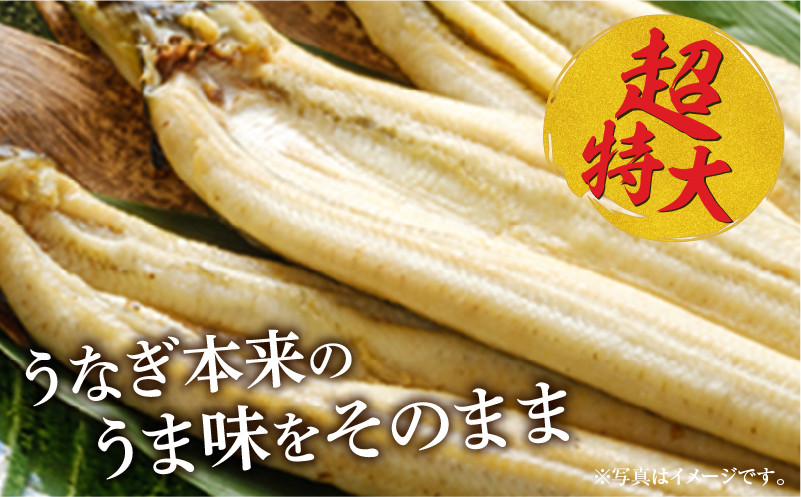 《2025年11月発送予定》うなぎ白焼(超特大サイズ) 1尾_M069-025-nov