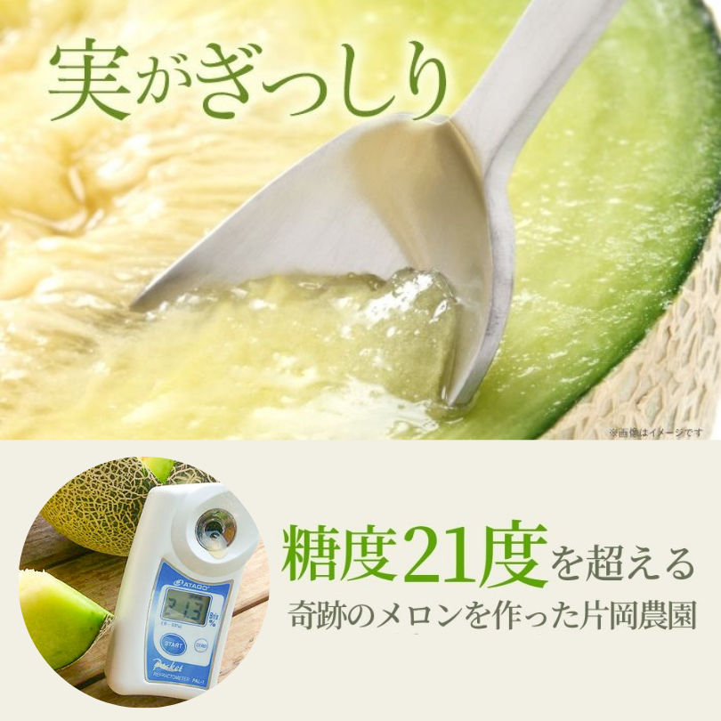 【先行予約】 メロン 2026 発送 最高糖度21度!奇跡のキスグリーンメロン 10000円 以下 1玉 青肉 めろん おすすめ 人気 国産 青 産地直送 茨城 鉾田 フルーツ 旬 大きい プレゼント 贈り物 贈答 旬 定番 果物 くだもの 大玉 甘い 青肉