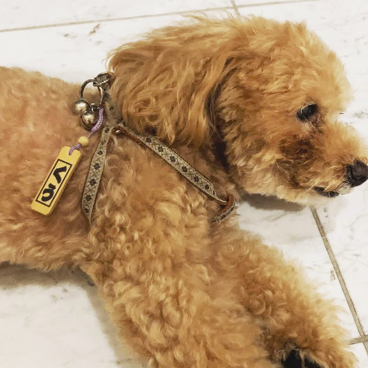  名入れ 漆手書き札 (桜) 大 | 木札 木 札 手書き ストラップ キーホルダー ネームタグ 祭り 祭 まつり 神輿 みこし さくら サクラ 桜 漆 うるし 籠字 江戸 江戸文字 籠字 プレゼント ギフト 贈答 記念品 寄贈品 人気 おすすめ 江戸文字や 桜庵 埼玉県 所沢市