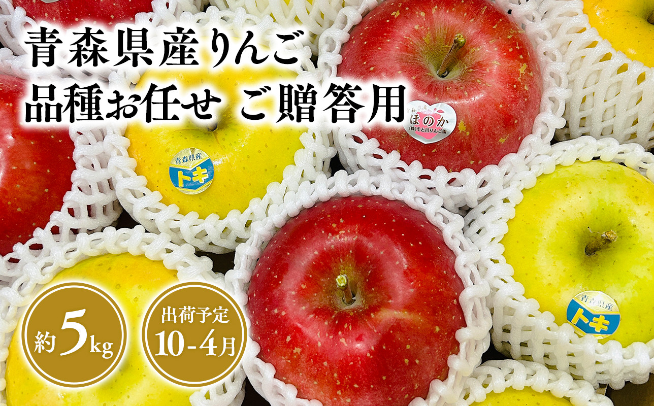 2025年産品種お任せ　贈答用　旬のりんご詰め合わせ5㎏【青森県 平川市 そと川りんご園】贈答 青森 青森県産 平川 りんご リンゴ 林檎 くだもの 果物 フルーツ 