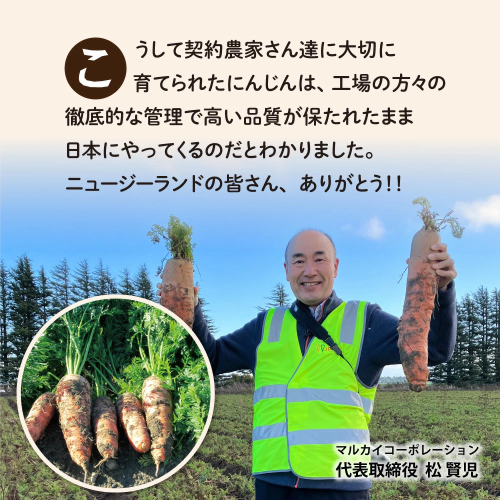 砂糖不使用 人参りんご 195g×30本 順造選｜無添加 無塩 健康 にんじん リンゴ ジュース ドリンク カロテン 長期保存 [0429ch]