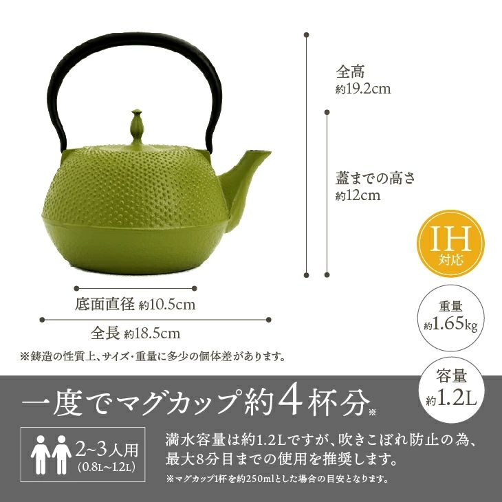 南部鉄器 鉄瓶 末広アラレ 緑 1.2L ガスレンジ IH調理器 伝統工芸品 鉄分補給 使いやすい 人気 やかん ケトル キッチン用品 日用品 雑貨 [BS028]