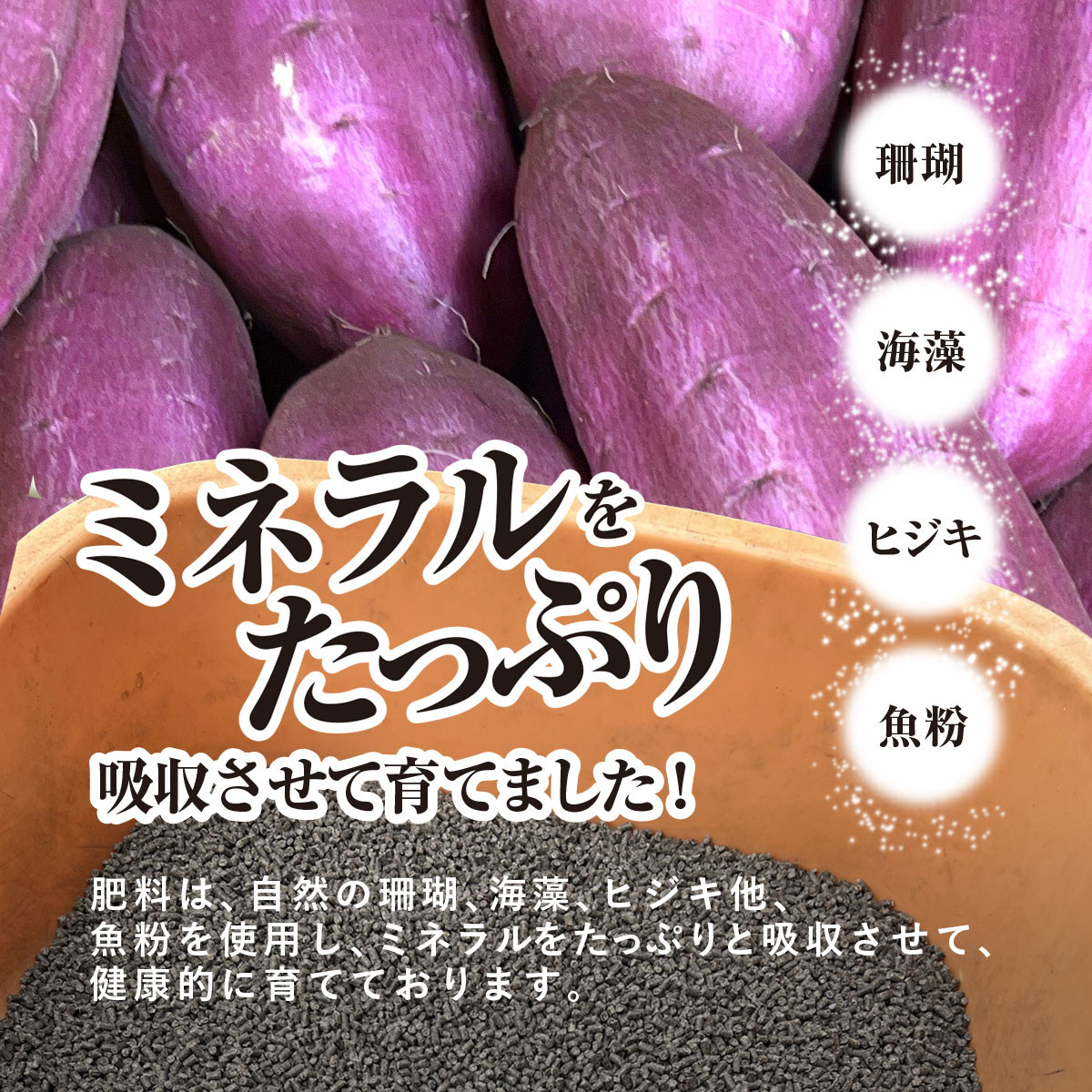 【先行受付】【訳あり】香取市産 さつまいも 紅はるか 約5kg×1 焼き芋やスイートポテトにどうぞ KTRW004 / 芋 サツマイモ さつまいも さつま芋 紅はるか べにはるか ベニハルカ  焼き芋 焼芋 焼いも お芋 おいも いも 生芋