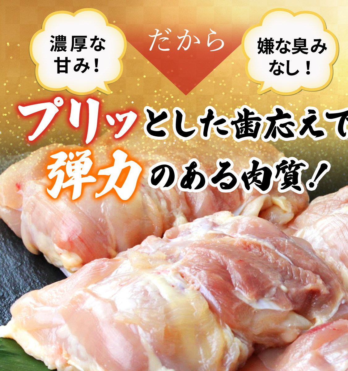 水郷どり本格派やきとり丼10食セット/鶏肉専門店「水郷のとりやさん」/KTRJ004 / やきとり 焼鳥 焼き鳥 焼き鳥丼 丼 どんぶり セット 小分け 小分 詰合せ つめあわせ おつまみ おかず お取り寄せグルメ おすすめ 惣菜 お惣菜 食品 加工食品 加工品