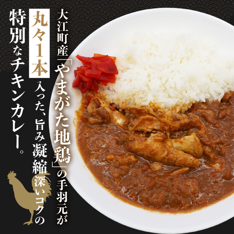 あてらZAWAカレー(やまがた地鶏手羽元1本入り) 4袋 【017-001】
