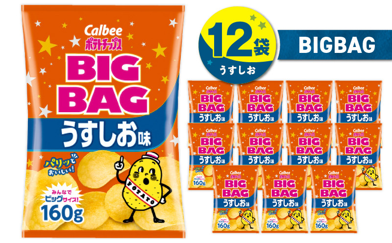 カルビー ポテトチップス BIGBAG【うすしお】12袋 K194-002_04