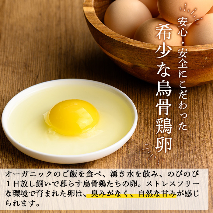 K-331-A ＜通常便＞オーガニック烏骨鶏卵「霧島烏骨鶏」(計12個・6個入×2箱)【お多福たまご】有機JAS 放し飼い自然卵 霧島市 国産 九州産 鹿児島県産 たまご 卵 鶏卵 烏骨鶏 うこっけい 朝食 通常便