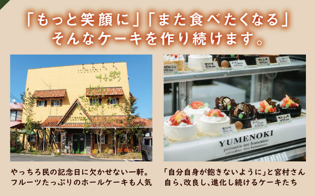 匠チーズケーキ5個入り ケーキ スイーツ 洋菓子 菓子 ゆめの樹 チーズケーキ 半熟チーズケーキ おやつ 洋菓子 焼き菓子 個包装 贈答 ギフト プレゼント 記念日 誕生日 お祝い 贈り物 熊本県 八代市 国産【順次発送】