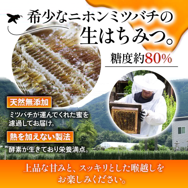 生はちみつ70g ( 国産 無添加 ハチミツ 蜂蜜 はちみつ 生はちみつ 生蜂蜜 生はちみつ 非加熱 国産蜂蜜 国産はちみつ 紅茶 梅干し 国産ハチミツ 亀岡市 京都府 )