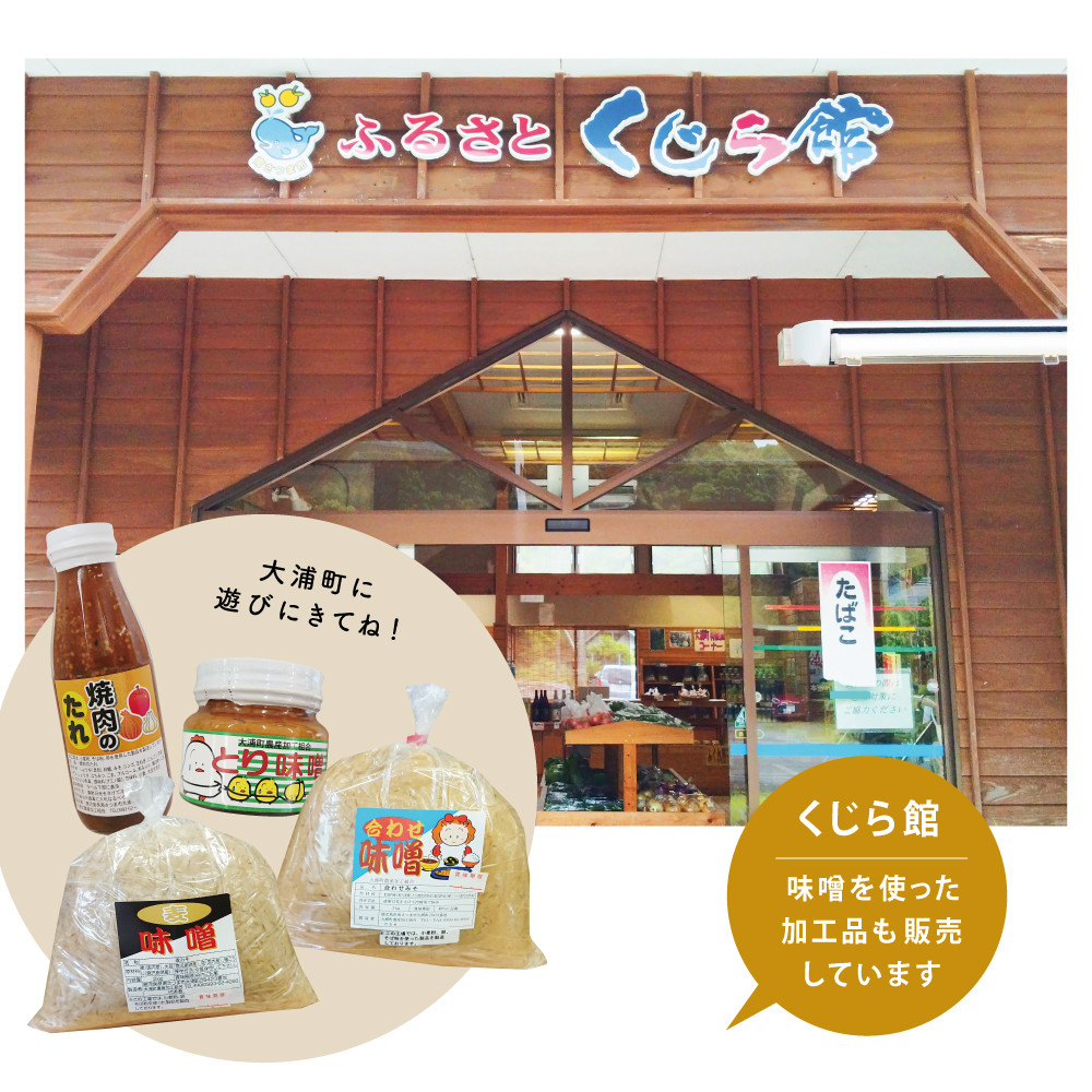 【鹿児島県産大豆使用】麦味噌・合わせ味噌詰合せ 計4.8kg (800g×6袋) 熟成発酵 麦みそ 合わせ みそ 調味料 みそ汁 豚汁 酢味噌 田舎の味 大浦町農産加工組合 南さつま市