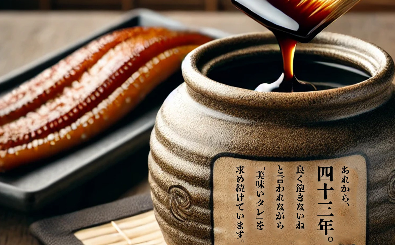 ハマる味!秘伝のタレ! 蒲焼き 穴子 (12食分) 冷凍 湯せん レンジでチン 時短 料理 12パック セット