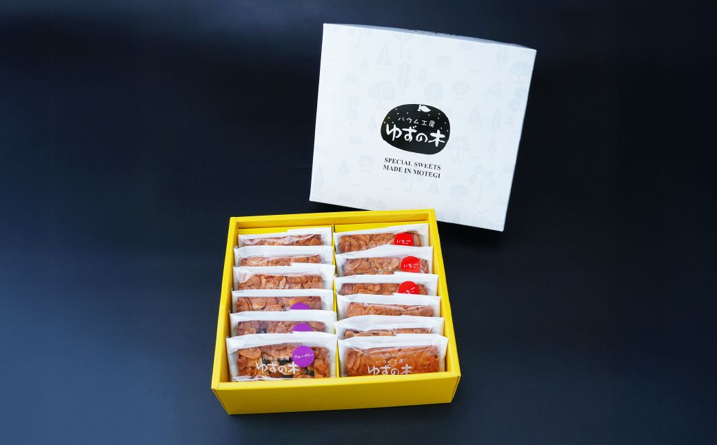 フロランタン 茂木町産米粉100% 12個 セット | 米粉 コシヒカリ 手土産 お土産 ギフト プレゼント ナッツ クッキー キャラメル 焼き菓子 常温 焼菓子 いちご ブルーベリー グルテンフリー コーヒー バター アーモンド もてぎプラザ 栃木県 茂木町