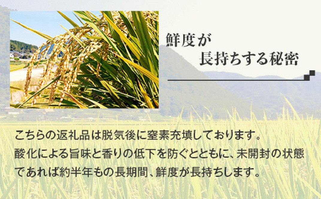 【無洗米】岡山県産こしひかり8kg（2kg×4袋）
