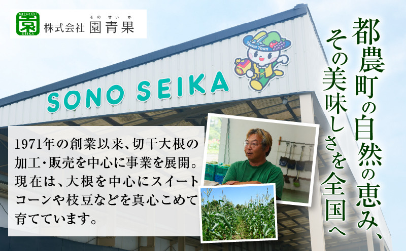 【2週間以内発送】≪宮崎県産≫田舎の味8種セット 野菜 加工品 国産_T003-012