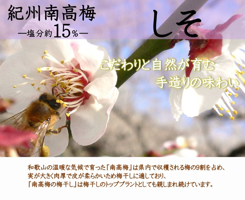 紀州南高梅しそ塩分約15%(850g)/ 南高梅 しそ 梅しそ 紀州南高梅 紀州 梅 うめ 紫蘇 梅干し おかず ご飯のお供 【ymdm009】