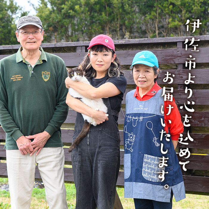 isa554 《数量限定》5種のバラエティージャム食べ比べセット(計18個・ブルーベリー×6、紅甘夏×3、ボンタン×3、サワーポメロ×3、日向夏×3) 加工食品 果物 フルーツ 詰め合わせ 果肉 柑橘 低糖 ハンドメイド ジャム ギフト マーマレード【薩摩美食倶楽部】