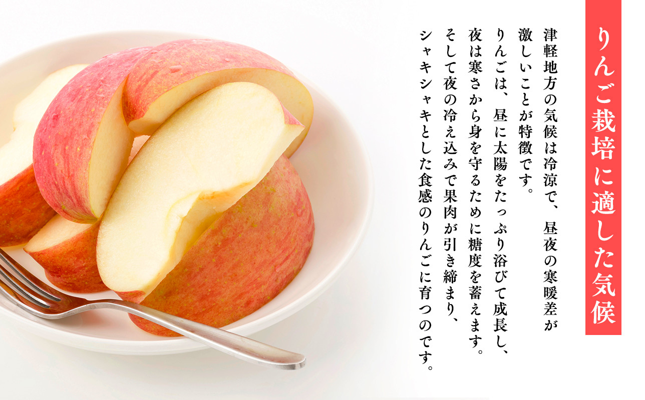 ≪11月発送≫【訳あり】家庭用 サンふじ3㎏【青森県 平川市 丸勝木村商店】平川市産 青森りんご りんご リンゴ 林檎 ふじ 訳あり 家庭 わけあり お取り寄せ 先行予約 果物 くだもの フルーツ