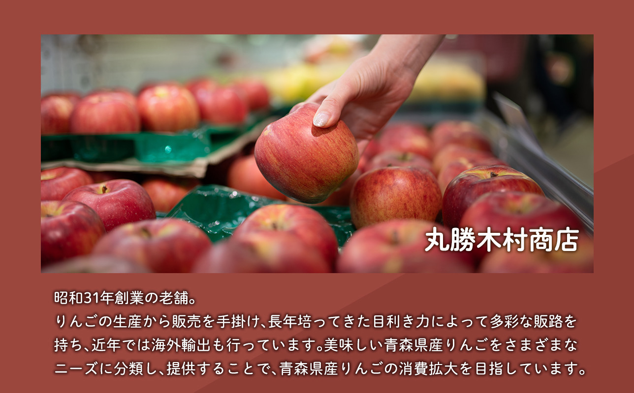 ≪11月発送≫【訳あり】家庭用 サンふじ3㎏【青森県 平川市 丸勝木村商店】平川市産 青森りんご りんご リンゴ 林檎 ふじ 訳あり 家庭 わけあり お取り寄せ 先行予約 果物 くだもの フルーツ