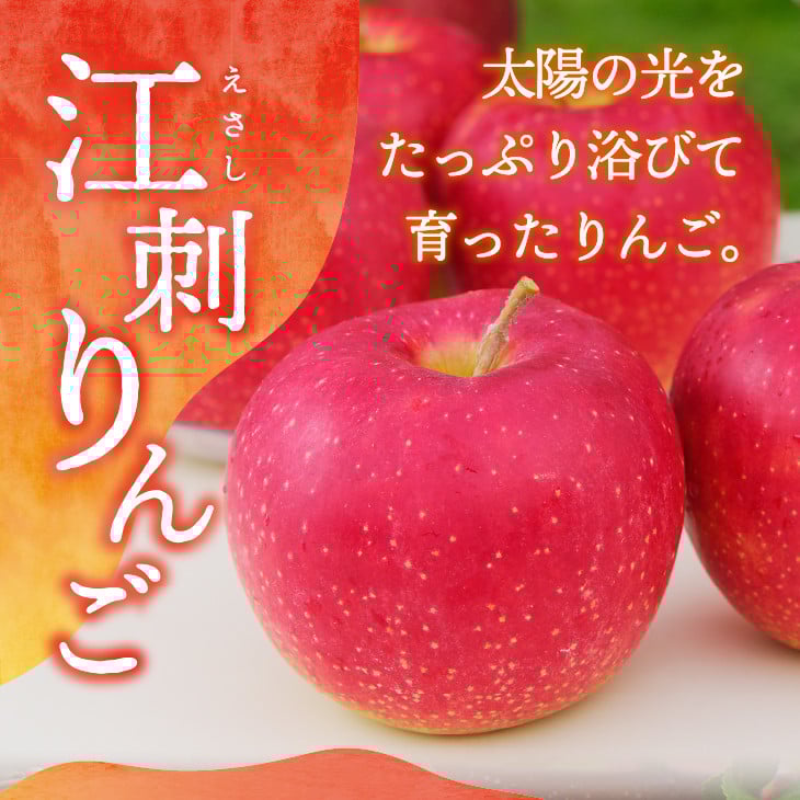 【数量限定】江刺りんご（サンふじ・シナノゴールド）贈答用化粧箱入 2.5kg 【12月お届け】 フルーツ 林檎 贈答 ギフト [AQ009]