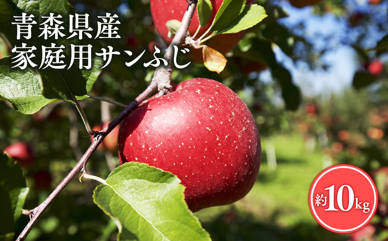 ≪11月発送≫【訳あり】家庭用 サンふじ10㎏【青森県 平川市 丸勝木村商店】平川市産 青森りんご りんご リンゴ 林檎 ふじ 訳あり 家庭 わけあり お取り寄せ 先行予約 果物 くだもの フルーツ
