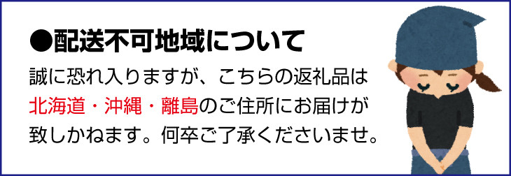 【2026年4月上旬~6月下旬発送】【和製グレープフルーツ】有田育ちの河内晩柑(ご家庭用) 約7.5kg サイズ混合 かわちばんかん 和製 グレープフルーツ 産地直送 国産 特産品 ゼリー ジュース アイス 等に 人気 甘い さわやか フルーツ 果物 柑橘 和歌山県【ard029C】