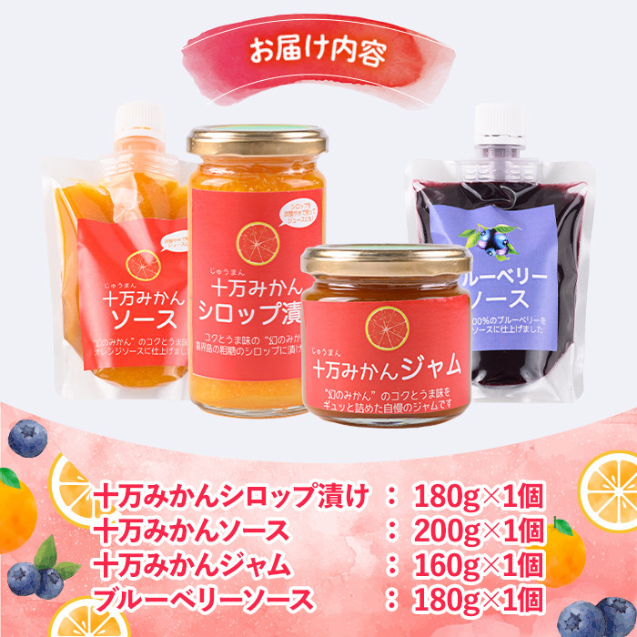 s524 ≪毎月数量限定≫田野農園加工品4種セット(ブルーベリーソース・十万みかん加工品(シロップ漬け・ソース・ジャム)各1個・計4個) 鹿児島 国産 九州産 フルーツ 柑橘 ミカン 蜜柑 調味料 シロップ漬 果実 ブルーベリー【田野農園】