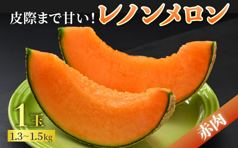 【先行予約】佐藤農園の赤肉と青肉食べ比べ計2玉（レノンメロン・アンデスメロン）農家直送 秀品 お届け！ / フルーツ くだもの 特産 旬 夏 果物 完熟  メロン 朝どれ 美味しい お取り寄せ 贈答 ※2026年6月中旬より順次発送 [aw069-a011]